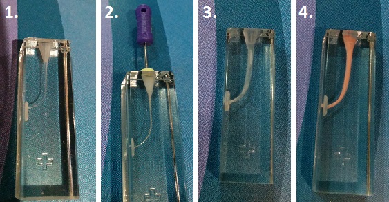Sequence showing root canal treatment in perspex block